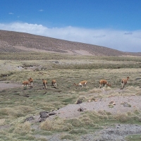 Foto de Altiplano