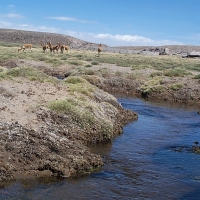 Foto de Altiplano