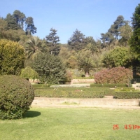 Foto de VIÑA DEL MAR