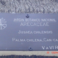 Foto de VIÑA DEL MAR