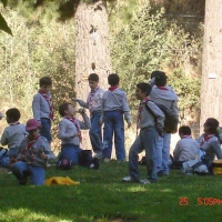 Foto de VIÑA DEL MAR