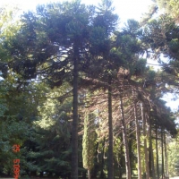 Foto de VIÑA DEL MAR