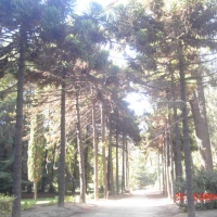 Foto de VIÑA DEL MAR