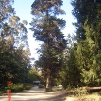 Foto de VIÑA DEL MAR