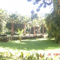 Foto de VIÑA DEL MAR