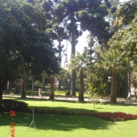 Foto de VIÑA DEL MAR