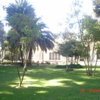 Foto de VIÑA DEL MAR