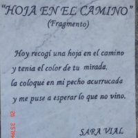 Foto de VIÑA DEL MAR