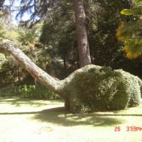 Foto de VIÑA DEL MAR