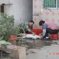 Foto de Dongguan