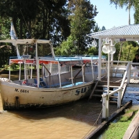 Foto de Tigre