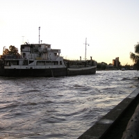 Foto de Tigre