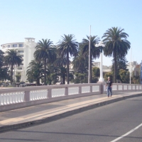 Foto de VIÑA DEL MAR