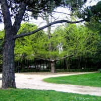 Foto de Madrid