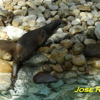 Foto de Jerez  de la Frontera