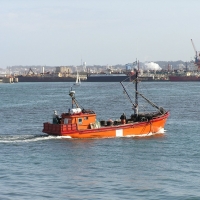 Foto de Mar del Plata