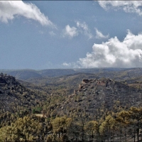 Foto de Mazarete