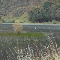 Foto de XI Región Chile