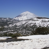 Foto de Tenerife