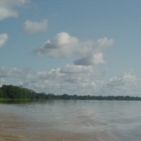 Foto de Amazonas