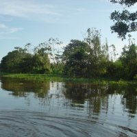 Foto de Amazonas