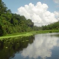 Foto de Amazonas