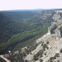 Foto de Cañón del río Lobos