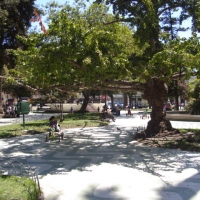 Foto de VALPARAISO