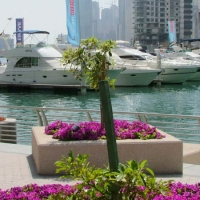 Foto de Dubai