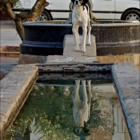 Foto de Alconchel de Ariza