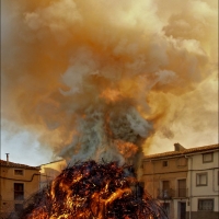 Foto de Alconchel de Ariza