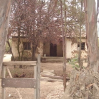 Foto de QUILPUE