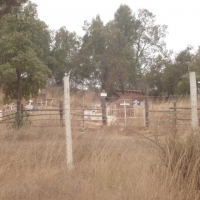 Foto de QUILPUE