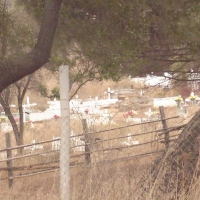Foto de QUILPUE