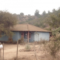 Foto de QUILPUE