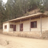 Foto de QUILPUE
