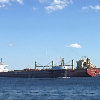 Foto de Mil Islas