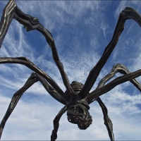 Foto de Ottawa