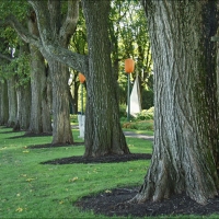 Foto de Quebec