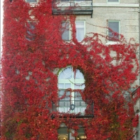 Foto de Charlevoix