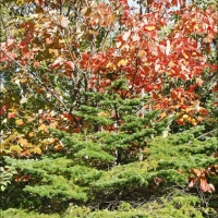 Foto de Charlevoix