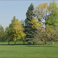 Foto de Montreal