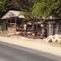 Foto de LIMACHE
