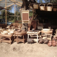 Foto de LIMACHE