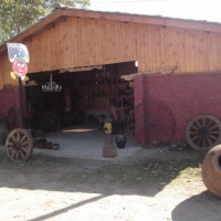 Foto de LIMACHE
