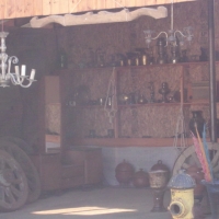 Foto de LIMACHE