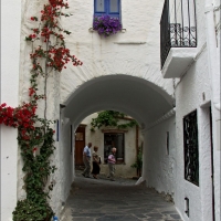 Foto de Rosas