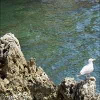 Foto de Islas Medas