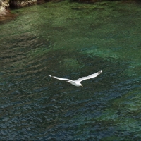 Foto de Islas Medas