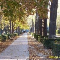 Foto de Madrid